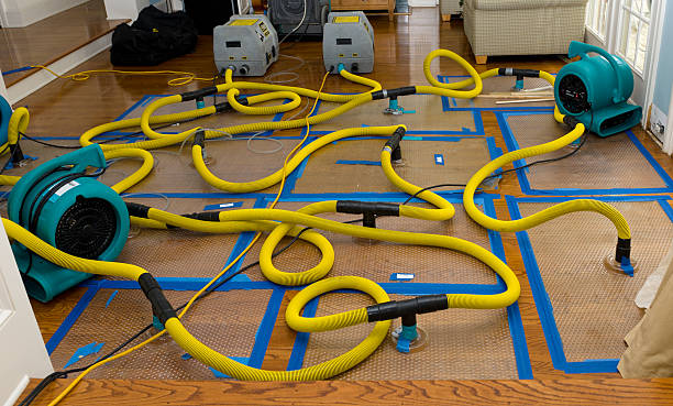 Professional Basement Flood Cleanup technician working in Mantachie, MS